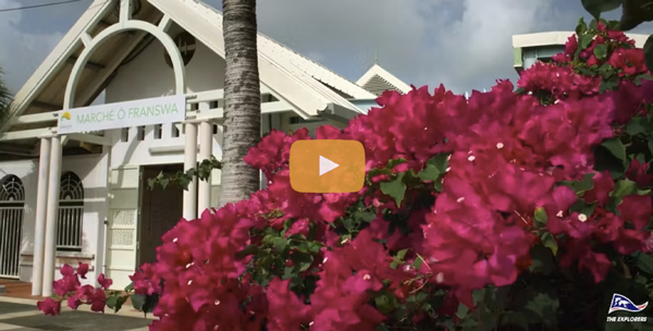 See why Martinique is the Isle of Flowers