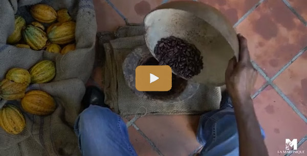 Artisan Bean to Bar Chocolate Making